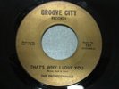 NORTHERN SOUL THE PROFESSIONALS  ( THAT'S WHY I LOVE YOU )
