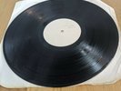 Test Record Sample 1978 THE FLYS LP WAIKIKI BEACH REFUGEES 5516 punk rock