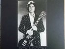RICK NELSON AND THE STONE CANYON BAND - GARDEN PARTY  - NEAR MINT