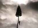 Manchester Orchestra - A black mile to the Surface...180g Vinyl