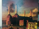 PINK FLOYD Animals 12