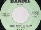 H.E.R.A. - Doesn’t Anybody See The Sun / Medley Of Thirties - Dandee 45 VG+ Funk