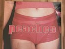 PEACHES - THE TEACHES OF PEACHES NEW VINYL RECORD