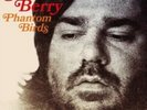 Matt Berry - Phantom Birds - Vinyl Record 12 Album Coloured Vinyl.. - b3b
