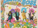 SOMEWHERE FLOWERS GROW - ELECTRIC LOOKING GLASS