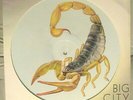 SCORPIONS 12