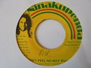 DHAIMA Don't Feel No Way NINAKUPENDA Killer  Female Roots Reggae 7