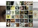 Pearl Jam - No Code LP Vinyl Album 25th Anniversary *CLEAR VINYL*