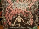 Demigod - Slumber of sullen eyes Original LP 1992. First press. RAR. Death Metal