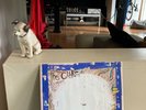 The Cure Just Like Heaven , Snow In Summer, Sugar Girl Uk 12