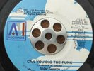 SOLAR SOURCE - Can You Dig The Funk - 45 RARE BOOGIE FUNK;SWEET SOUL AVI 1981
