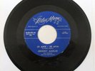 JOHNNY AMELIO I'LL FOREVER LOVE YOU/ JO ANN JO ANN 1958 ORIG. 45 Rare Rockabilly