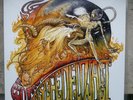 WO FAT - PSYCHEDELONAUT , COLOURED VINYL , STONER ROCK , NASONI , MONSTER MAGNET