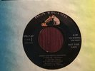 45 RPM Elvis Presley RCA VICTOR EP 7-37 Perfect For Parties VG++