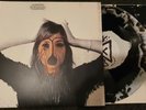 The Blood Brothers - Young Machetes VINYL LP RECORD
