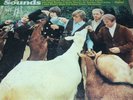 the beach boys pet sounds lp