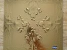 Jay Z & Kanye West ?– Watch The Throne - 2 vinyl picture disc