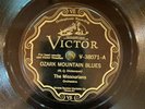 Victor 38071 The Missourians OZARK MOUNTAIN BLUES Jazz 78rpm 1929 E