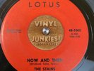 THE STAINS now and then*did you ever 1966 US LOTUS GARAGE PUNK 45 Hear Rare