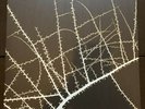 Terry Riley, Don Cherry, Karl Berger, Koln Feb 23, 1975 Ltd White Vinyl, Rare