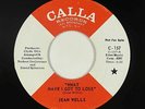 Northern Soul 45 - Jean Wells - What Have I Got To Lose - Calla - VG+ mp3