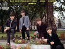 BEATLES / ULTRA  