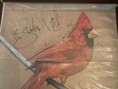 Alexisonfire Old Crows Young Cardinals Vinyl Autographed