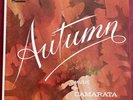 Vintage Disneyland Record AUTUMN Concerto Music By Camarata 12” WDL-3021 Vinyl