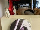 Tori Amos To Venus And Back Picture Disc Vinyl LP RARE PROMO ONLY
