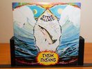 Steve Hillage – Fish Rising - Vinyl Record Lp