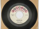 DICK DALE MISERLOU Vinyl Deltone Records 45 RPM 7