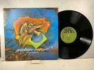 KLAUS SCHULZE Brain 1067 PICTURE MUSIC  ORIGINAL GERMAN PRESSING VG++NM-  LISTEN