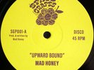 MAD HONEY - UPWARD BOUND - 12 SPACE GRAPES VINYL FUNK BOOGIE NEW