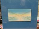 DIRE STRAITS RECORD 