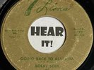 Blues R&B Rocker 45 BOBBY SOUL Going Back To Alabama /Things 7 LIONS hear rare