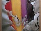 Bob Dylan ?- Dylan - Japan PROMO 1973 vinyl LP SOPL 236 NEAR MINT