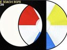 Beach Boys-Icon (Indie Picture Disc Lp) VINYL NEW