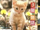 Promo Keiko Yoshinaga Koneko Monogatari Ryuichi Sakamoto Japan 7