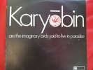 The Spontaneous Music Ensemble - Karyobin original 1968 uk lp ilps9079 free jazz