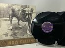 Alice In Chains - Alice In Chains Self Titled Vinyl LP Original US Tripod C2 672