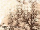 New Music Trampled By Turtles 