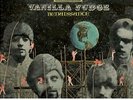 5 Rock LP's Vanilla Fudge  10 Years After  Simon Sisters  Tornados  Ravi Shankar