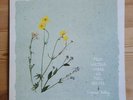 Virginia Astley From Gardens Where We Feel Secure 1st Press Vinyl LP Rough Trade