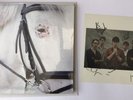 ICEAGE Seek Shelter red vinyl issue MEX 290 with band signed lithograph