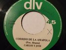 CARLOS Y JOSE EL CHUBASCO/CORRIDO DE LA AMAPOLA 7