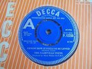 The Nashville Teens - I Know How It Feels To Be Loved 1965 UK 45 DECCA DEMO
