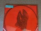 The  Devil Put Dinosaurs Here by Alice in Chains Vinyl Picture disc Limited RARE