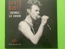 David Bowie Ouvrez Le Chien Live Dallas 95 Vinyl 2 LPs Records 180G Brilliant Li