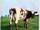 Pink Floyd Atom Heart Mother mislabel Australia vinyl LP record prog rock Waters
