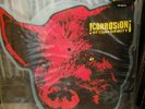 Corrosion Of Conformity - Wiseblood Promo Picture Disc LP 1996 “Pig/mini